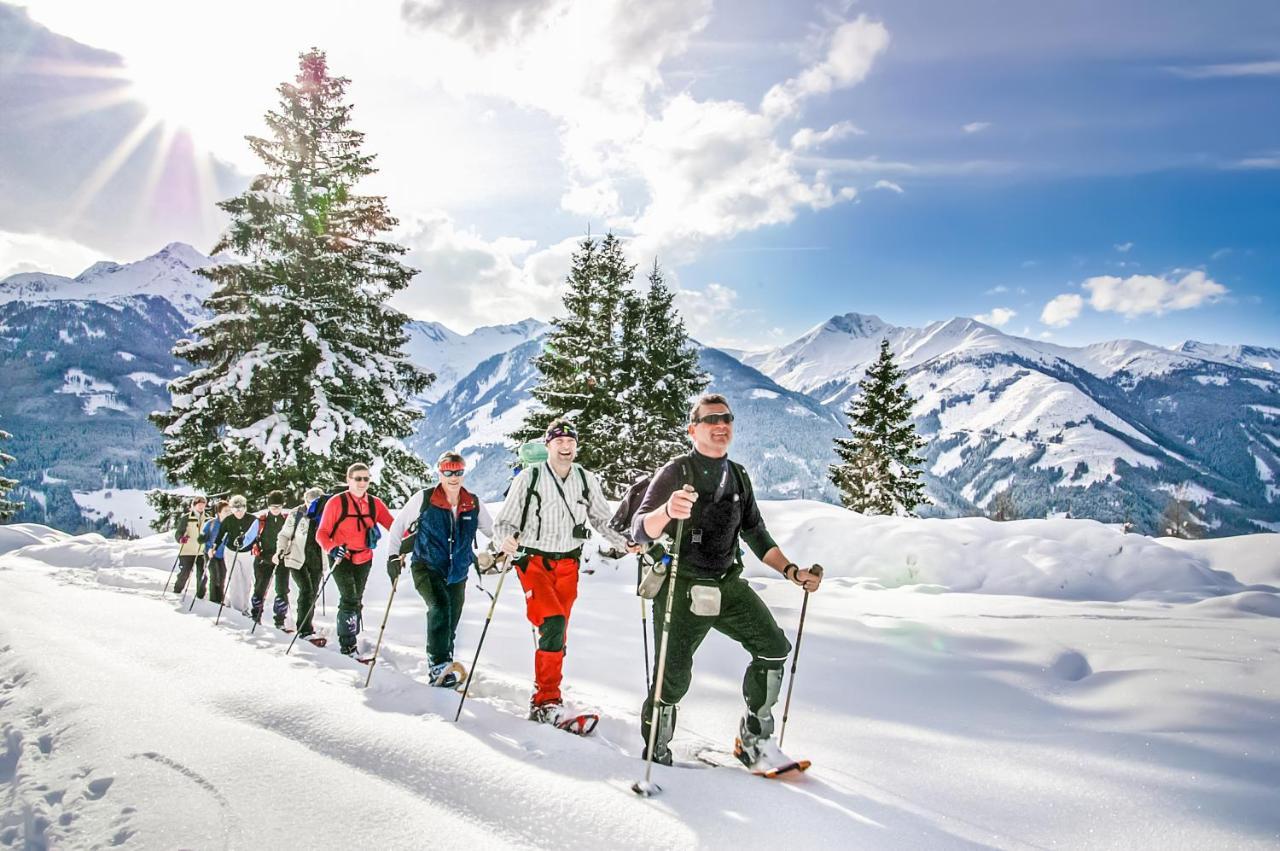Alpen Chalets Zell Am See Niedernsill Ngoại thất bức ảnh